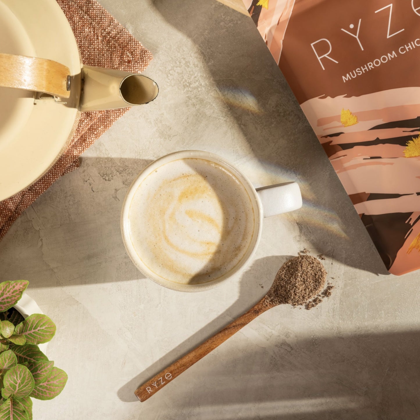 Mushroom Chicory AN