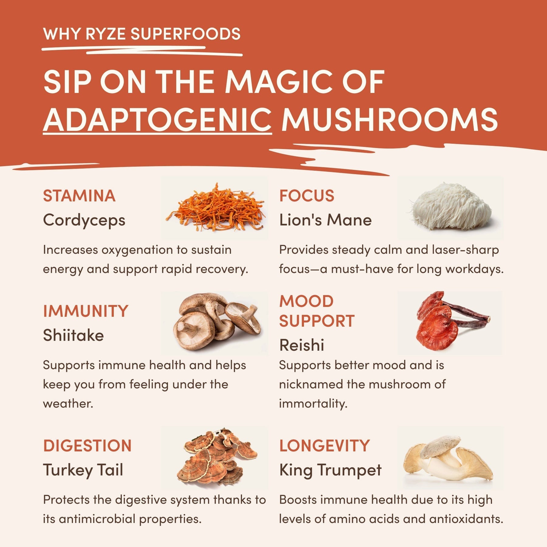 Superfood Creamer AK