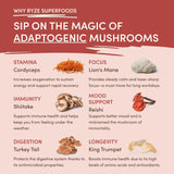 Mushroom Chai AG
